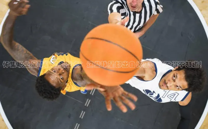 意昂2平台赛富乐斯