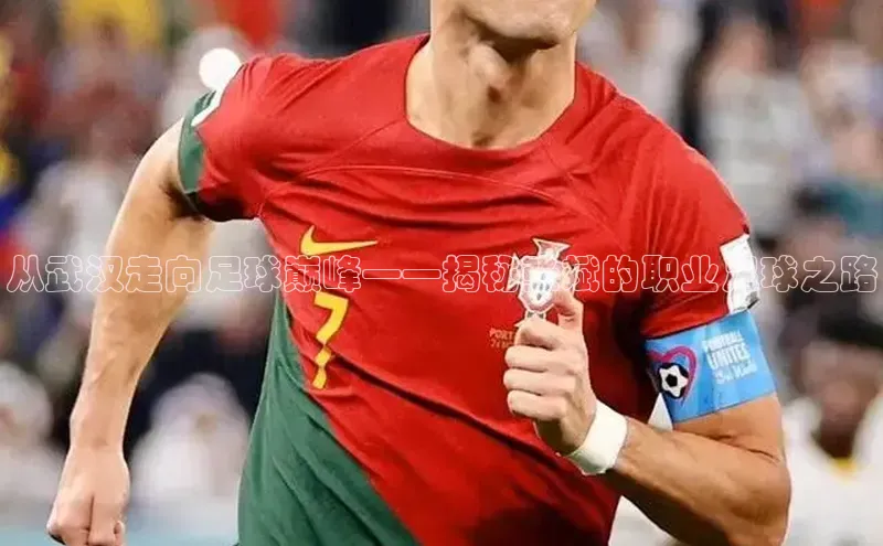 意昂2账号登录入口度小满支付