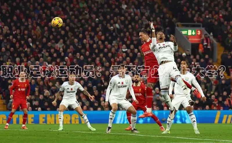 意昂2招商百度智能门户