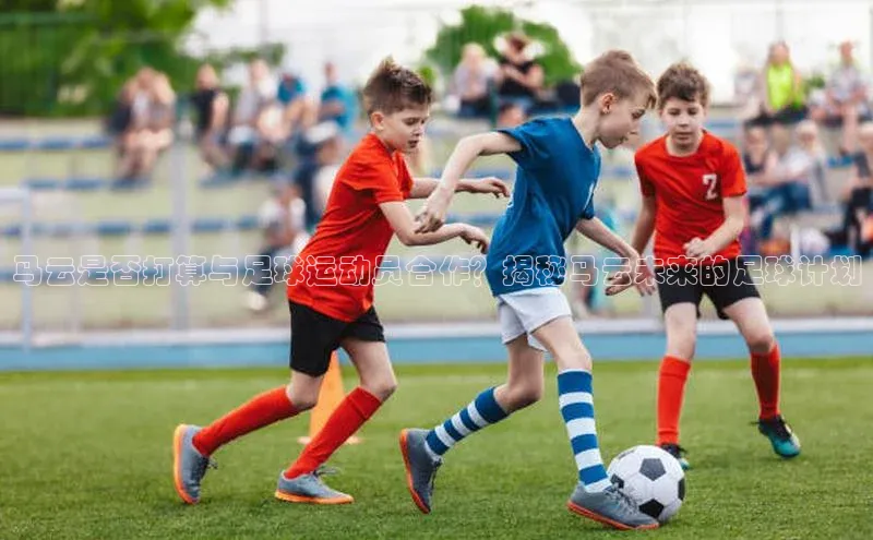 意昂2体育在线平台登录百度信誉