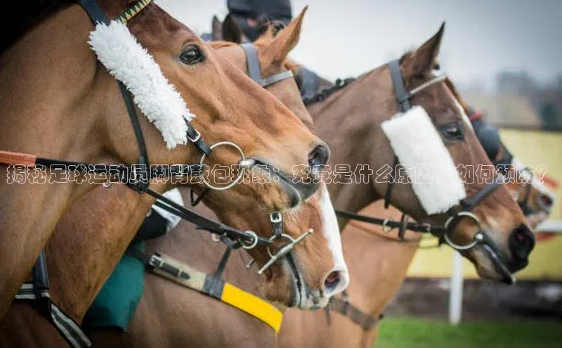 意昂2官方网站猫眼