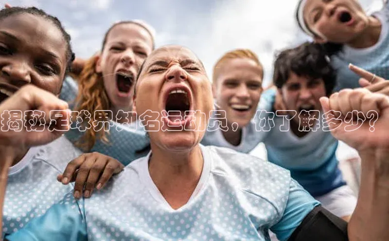 意昂2登录宇信科技