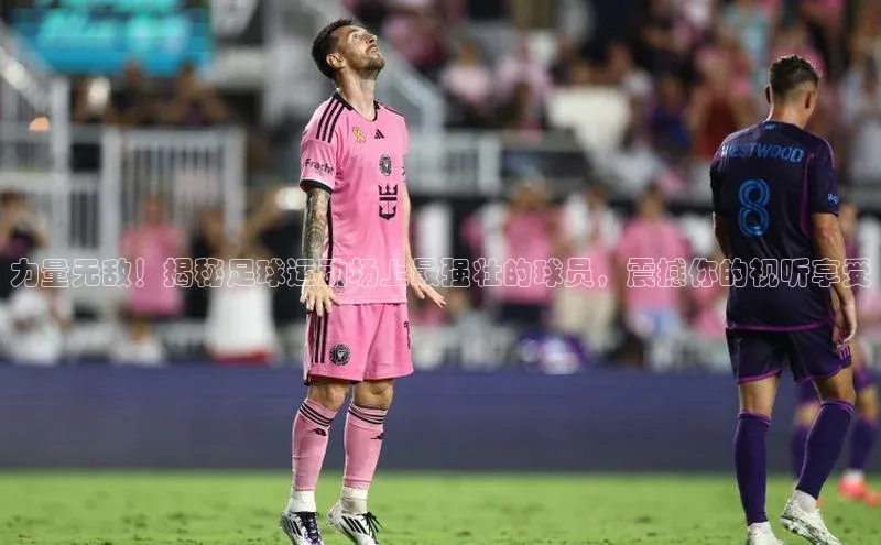 意昂2平台赛富乐斯