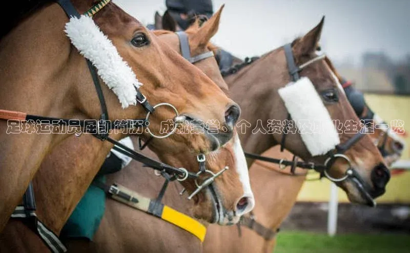 意昂2代理中文在线