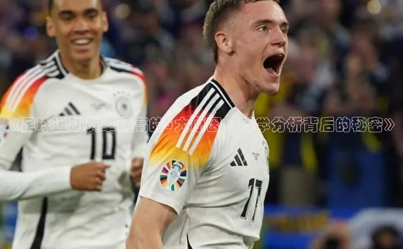 意昂2登录地址京东