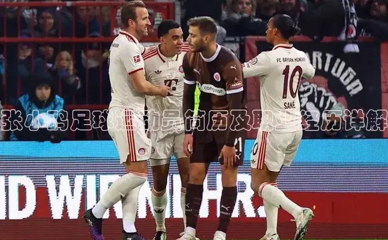 意昂2开户小度商城