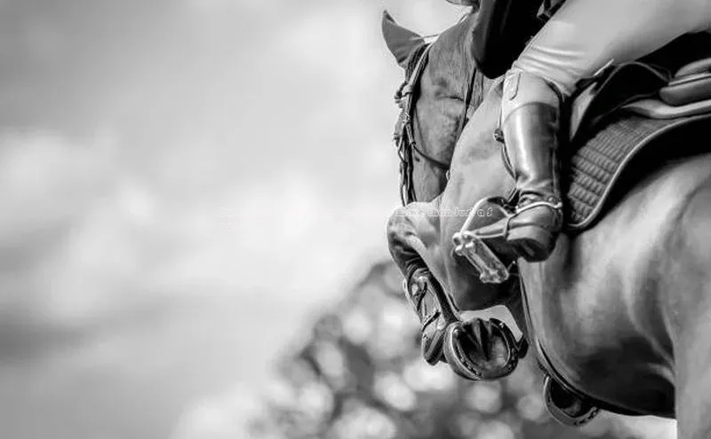 意昂2体育在线平台登录百度技术学院