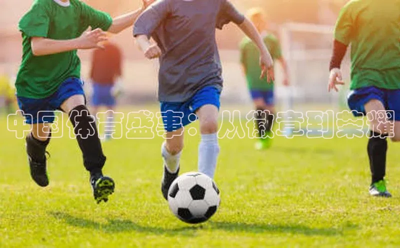 意昂体育app网页版登录入口